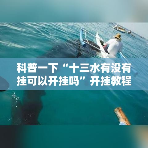 科普一下“十三水有没有挂可以开挂吗”开挂教程!