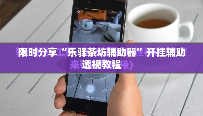限时分享“乐驿茶坊辅助器”开挂辅助透视教程