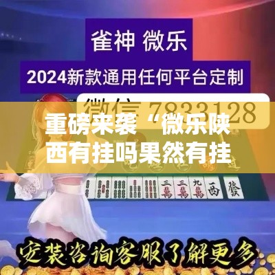 重磅来袭“微乐陕西有挂吗果然有挂”详细分享步骤