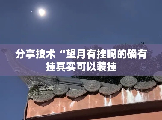 分享技术“望月有挂吗的确有挂其实可以装挂