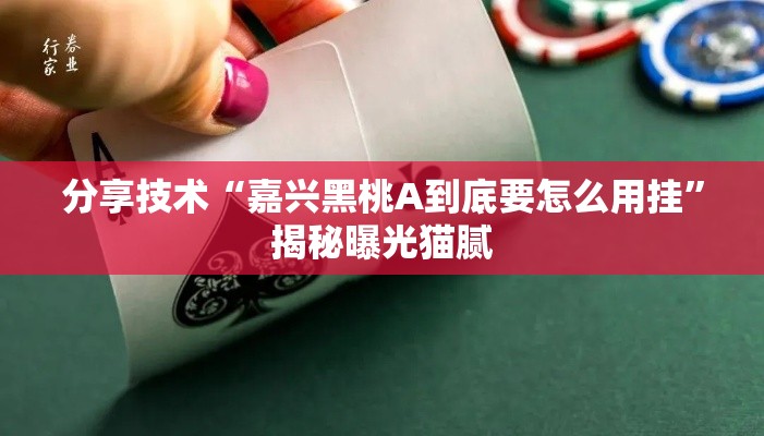 分享技术“嘉兴黑桃A到底要怎么用挂”揭秘曝光猫腻