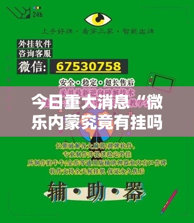 今日重大消息“微乐内蒙究竟有挂吗(确实有挂) 今日重大消息“微乐内蒙究竟有挂吗(确实有挂)