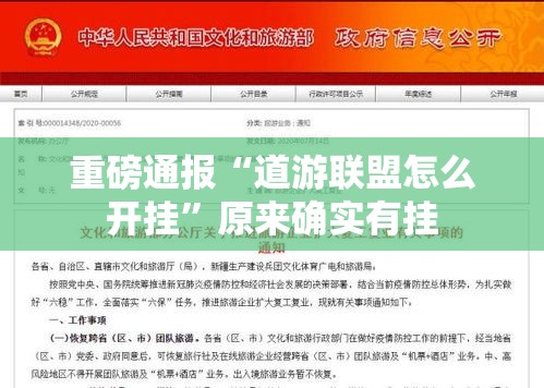 重磅通报“道游联盟怎么开挂	”原来确实有挂