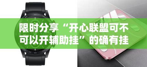 限时分享“开心联盟可不可以开辅助挂”的确有挂