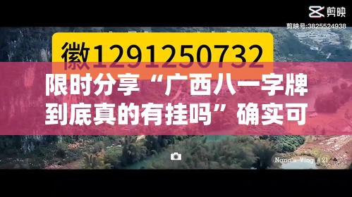 限时分享“广西八一字牌到底真的有挂吗	”确实可以开挂