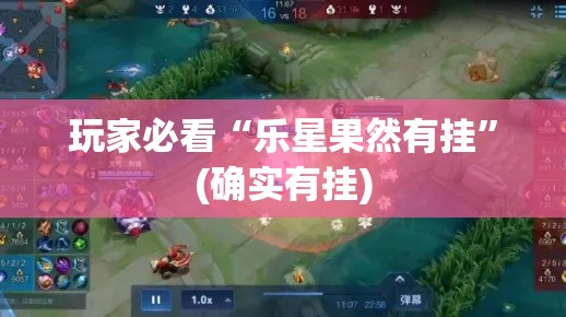 玩家必看“乐星果然有挂	”(确实有挂)
