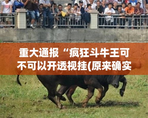 重大通报“疯狂斗牛王可不可以开透视挂(原来确实是有挂)
