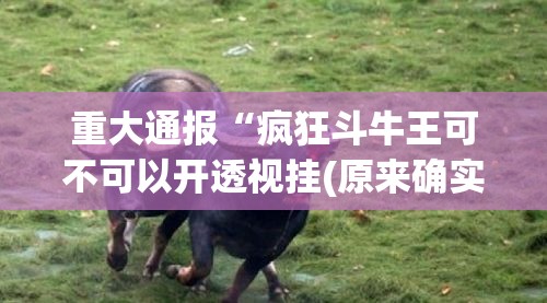 重大通报“疯狂斗牛王可不可以开透视挂(原来确实是有挂)