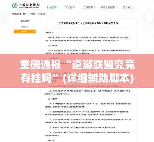 重磅通报“道游联盟究竟有挂吗”(详细辅助脚本)