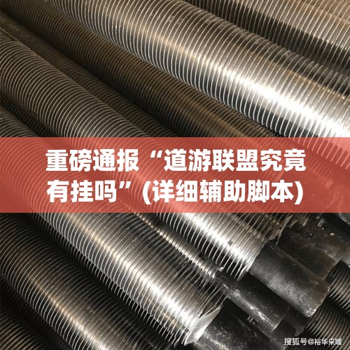 重磅通报“道游联盟究竟有挂吗	”(详细辅助脚本)