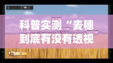 科普实测“麦穗到底有没有透视”(详细辅助脚本)