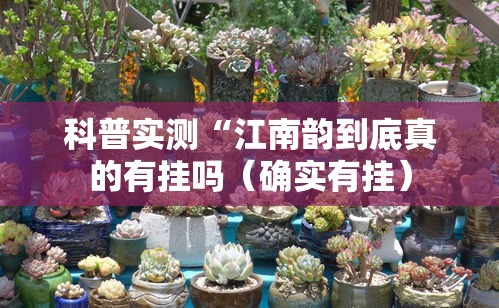 科普实测“江南韵到底真的有挂吗(确实有挂) 科普实测“江南韵到底真的有挂吗(确实有挂)