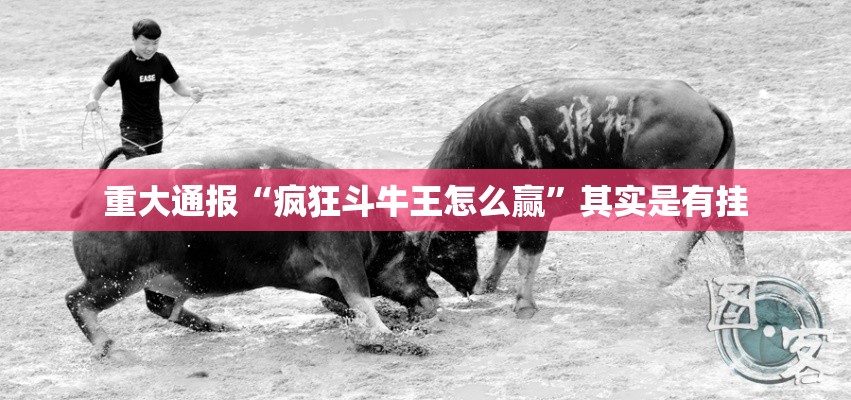 重大通报“疯狂斗牛王怎么赢	”其实是有挂