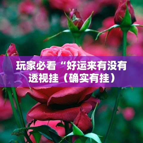 玩家必看“好运来有没有透视挂（确实有挂）