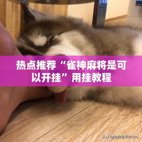 热点推荐“雀神麻将是可以开挂	”用挂教程