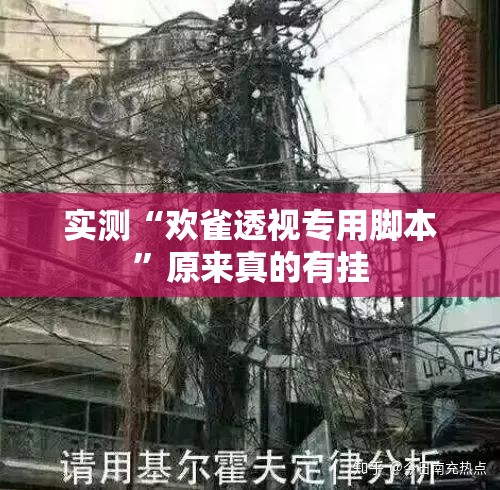 实测“欢雀透视专用脚本”原来真的有挂
