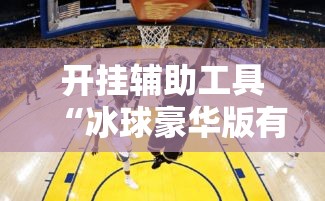 开挂辅助工具“冰球豪华版有挂吗的确有挂”真的确实有挂