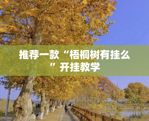 推荐一款“梧桐树有挂么	”开挂教学