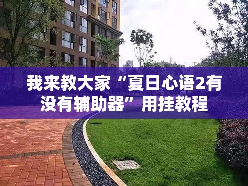 我来教大家“夏日心语2有没有辅助器	”用挂教程