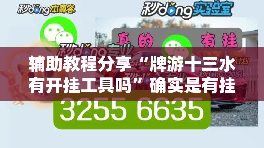 辅助教程分享“牌游十三水有开挂工具吗”确实是有挂