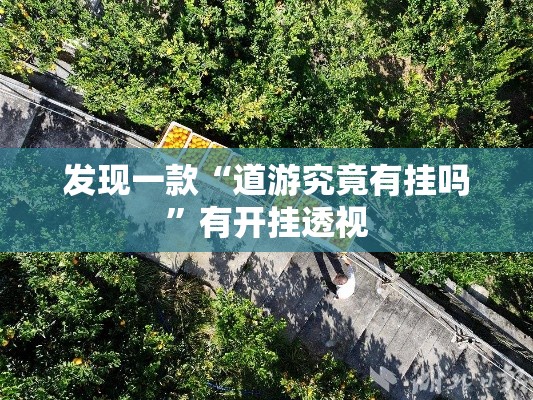 发现一款“道游究竟有挂吗”有开挂透视