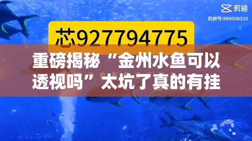 重磅揭秘“金州水鱼可以透视吗”太坑了真的有挂