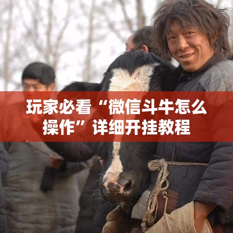 玩家必看“微信斗牛怎么操作”详细开挂教程