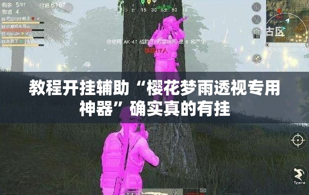 教程开挂辅助“樱花梦雨透视专用神器”确实真的有挂