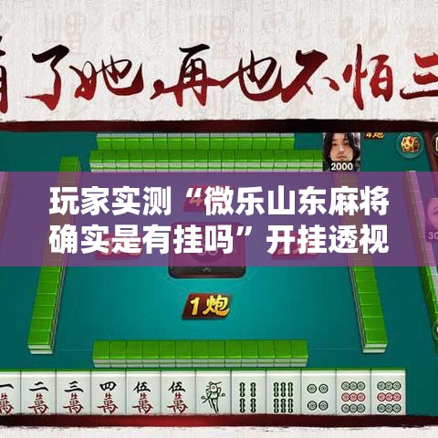 玩家实测“微乐山东麻将确实是有挂吗”开挂透视必胜方法