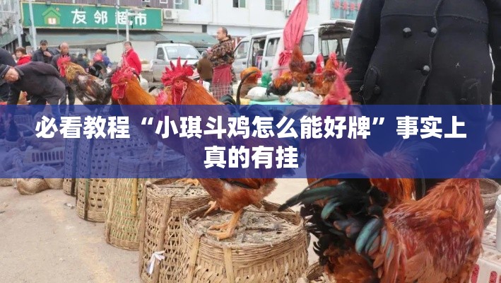 必看教程“小琪斗鸡怎么能好牌	”事实上真的有挂