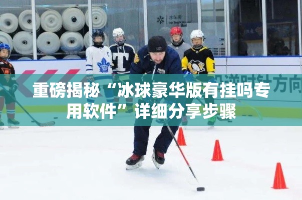 重磅揭秘“冰球豪华版有挂吗专用软件	”详细分享步骤