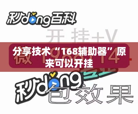 分享技术“168辅助器”原来可以开挂