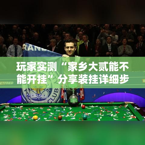玩家实测“家乡大贰能不能开挂”分享装挂详细步骤
