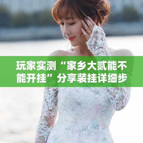 玩家实测“家乡大贰能不能开挂	”分享装挂详细步骤