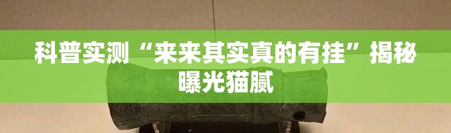 科普实测“来来其实真的有挂”揭秘曝光猫腻