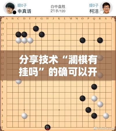 分享技术“澜棋有挂吗”的确可以开挂