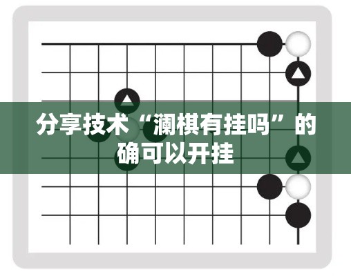 分享技术“澜棋有挂吗”的确可以开挂