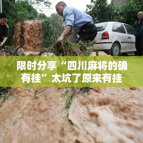 限时分享“四川麻将的确有挂	”太坑了原来有挂