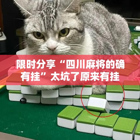 限时分享“四川麻将的确有挂”太坑了原来有挂