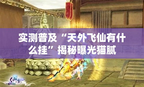 实测普及“天外飞仙有什么挂”揭秘曝光猫腻