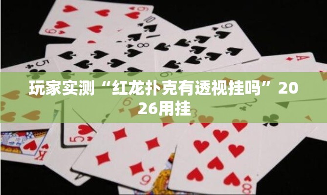玩家实测“红龙扑克有透视挂吗”2026用挂